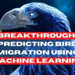 Predicting Bird Migration Using Machine Learning