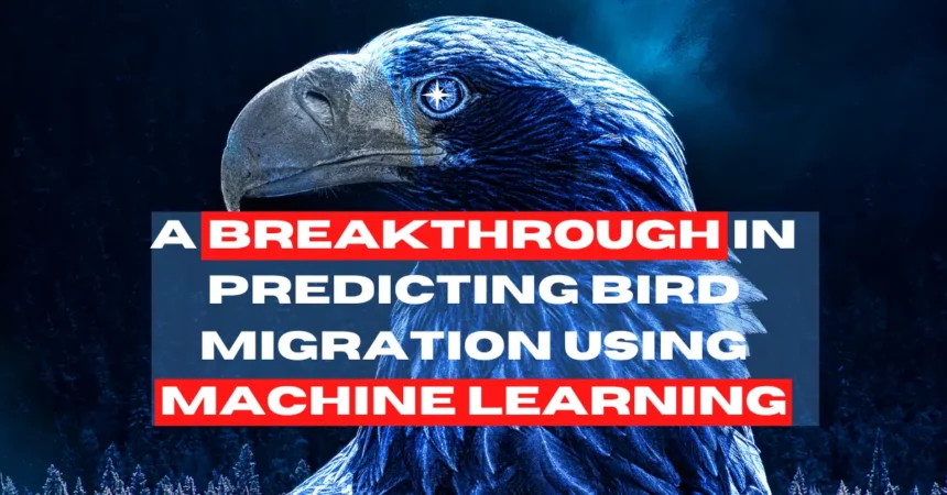 Predicting Bird Migration Using Machine Learning