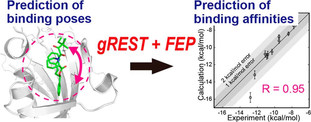computational method called gREST+FEP to study the binding of a small molecule (ligand) to a protein.