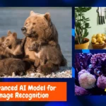Facebook's Meta Releases Advanced AI Model for Image Recognition