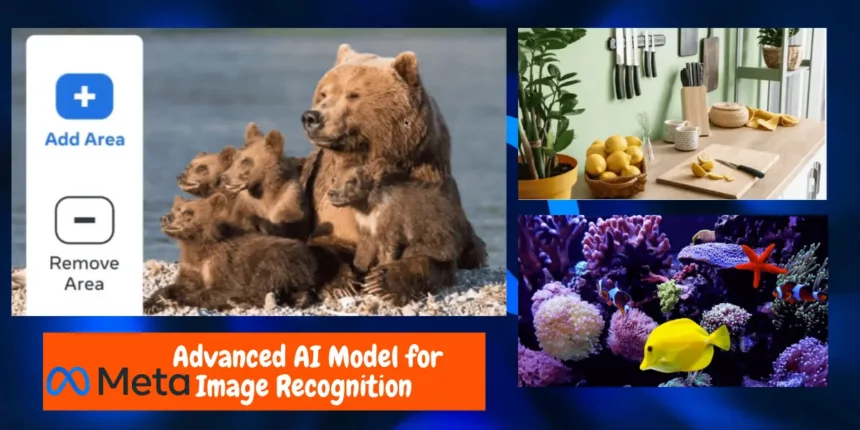 Facebook's Meta Releases Advanced AI Model for Image Recognition