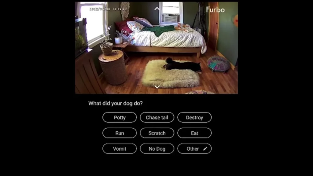 furbo dog camera artificial intelligence