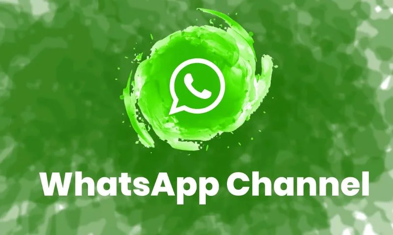 WhatsApp Ownership Transfer