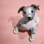 Japan released an AI-powered robotic puppy that grows over time as a Family Member