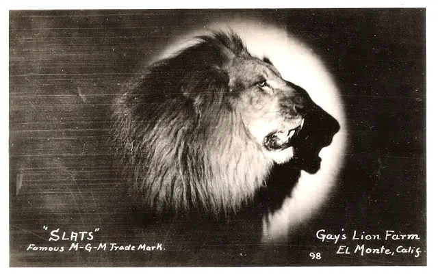 MGM Iconic Roar
