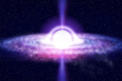 Black Holes white hole