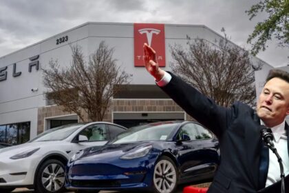 tesla germany sale drop