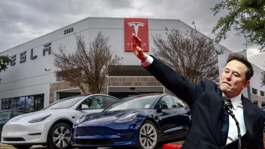 tesla germany sale drop