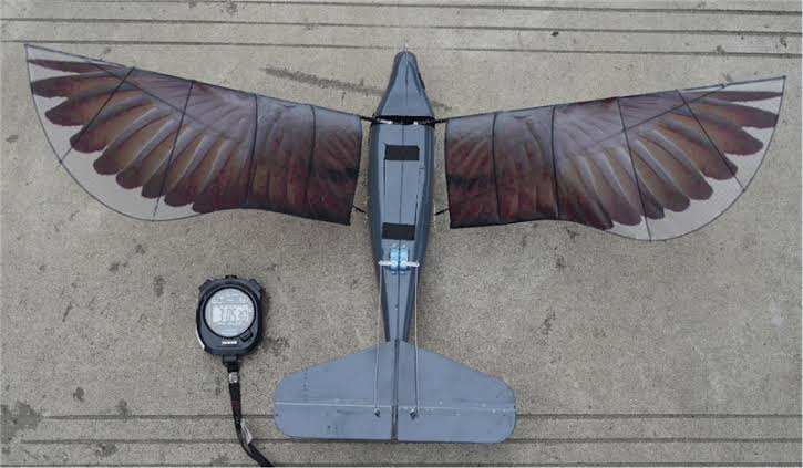 china bird-like drones