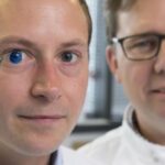 3D-printed human corneas