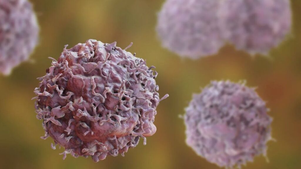 Aspergillus Flavus Fungus Once Feared in Tombs May Help Cure Leukemia