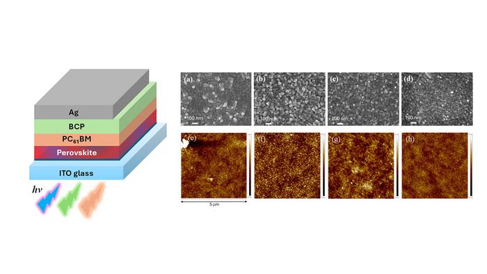 Taiwan perovskite solar cells