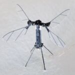 mosquito-sized drone