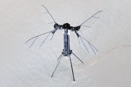 mosquito-sized drone