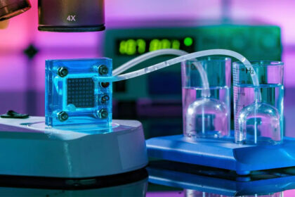 Hydrogen Fuel from Sunlight and Water