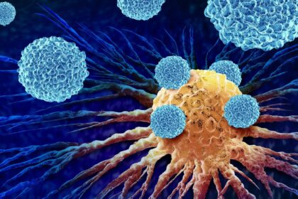 2025 Nobel Prize in Physiology or Medicine