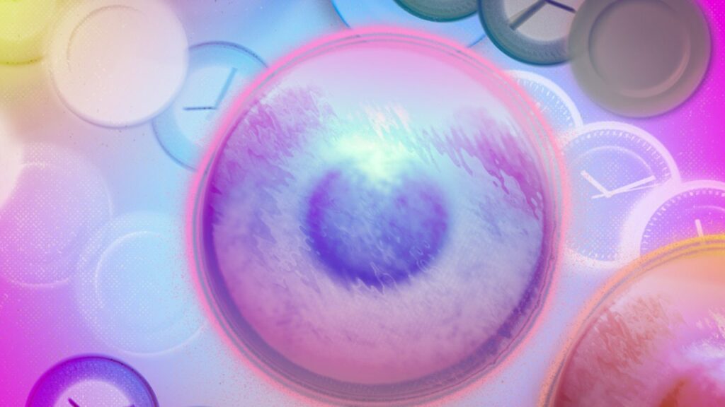 72 Hours of Fasting Can Completely Regenerate the Human Immune System