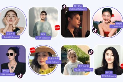 China influencer certification law