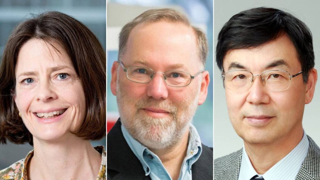 Scientists Just Won A Nobel Prize For Discovering How To Stop Your Immune System From Attacking You