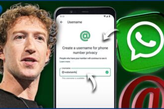 WhatsApp Usernames
