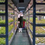 world’s first unmanned 20-storey vertical plant