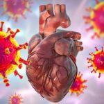 COVID-19 Vaccines Reduce Heart Attacks and Strokes