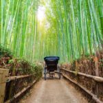 bamboo-based bioplastic