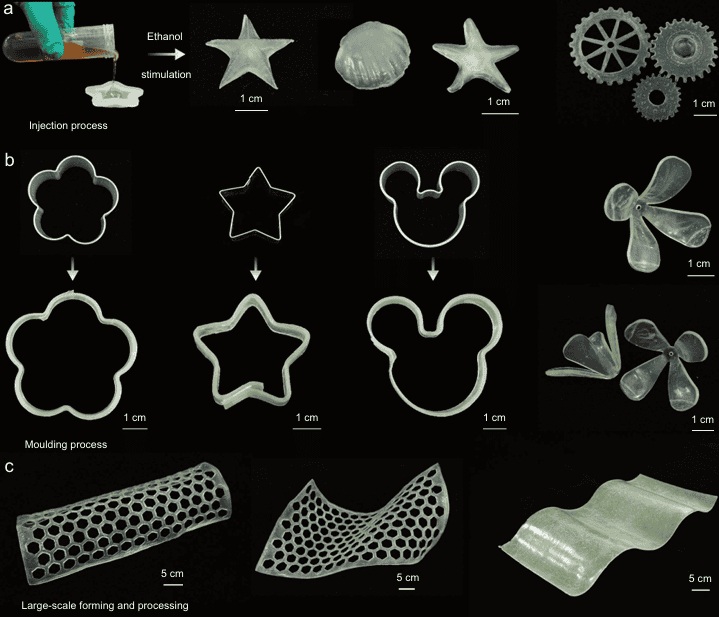 bamboo-based bioplastic