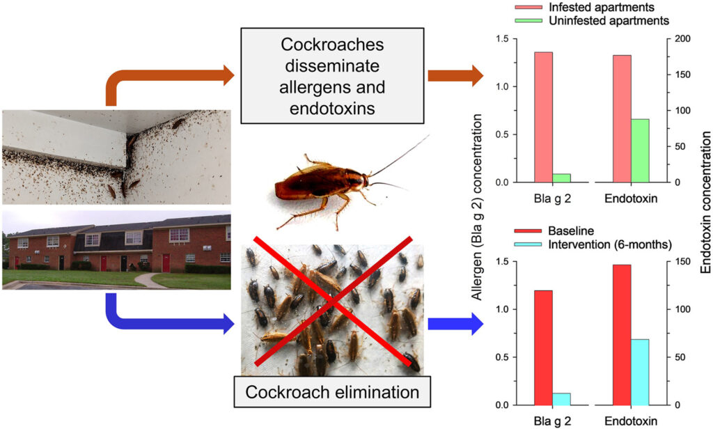 Cockroach Infestations Pollute Indoor Air