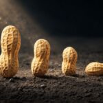 babies peanut allergies