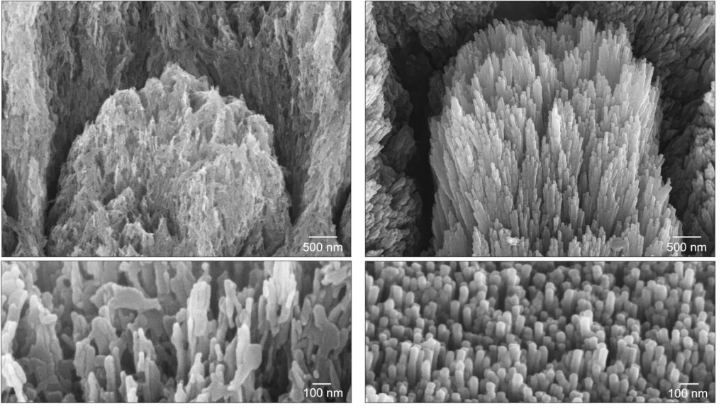 protein gel regrow tooth enamel