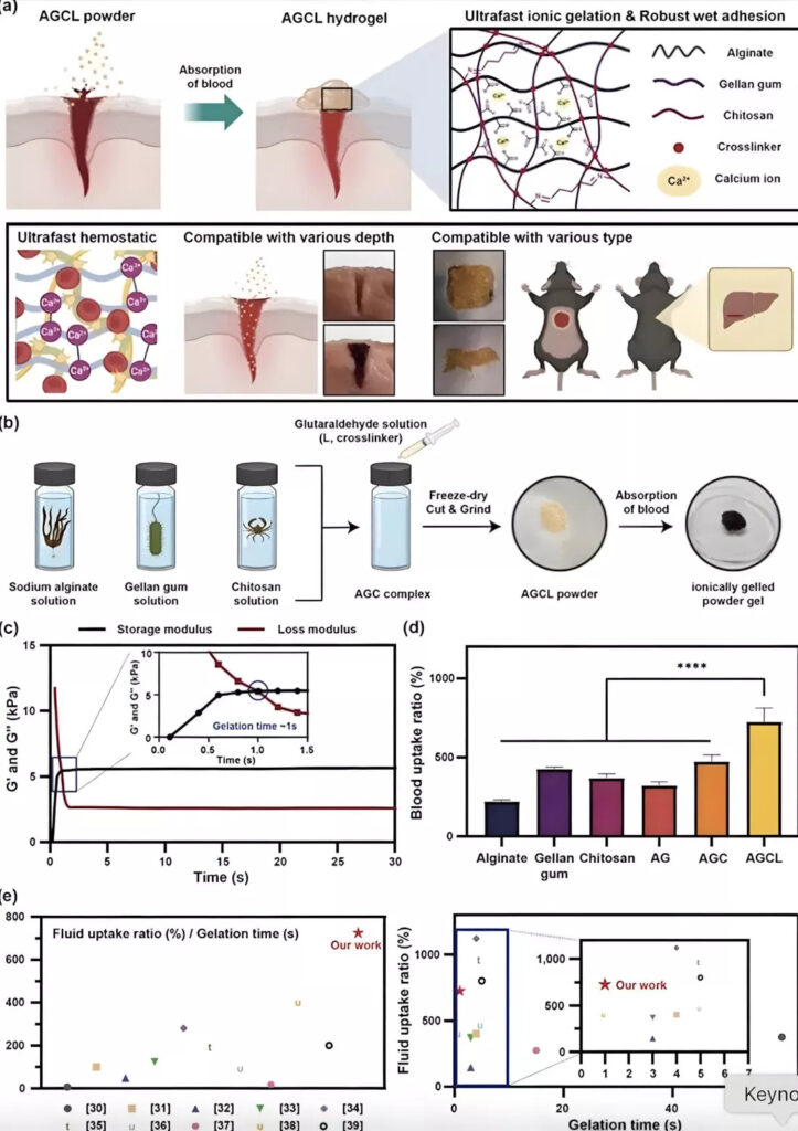 KAIST spray that can stop bleeding