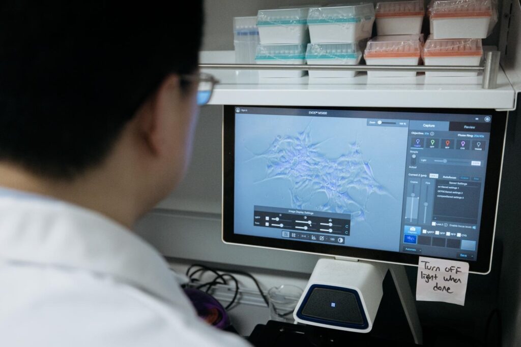 Lab grown human sperm